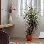 Апартаменты Stunning Kasuni In Сплит