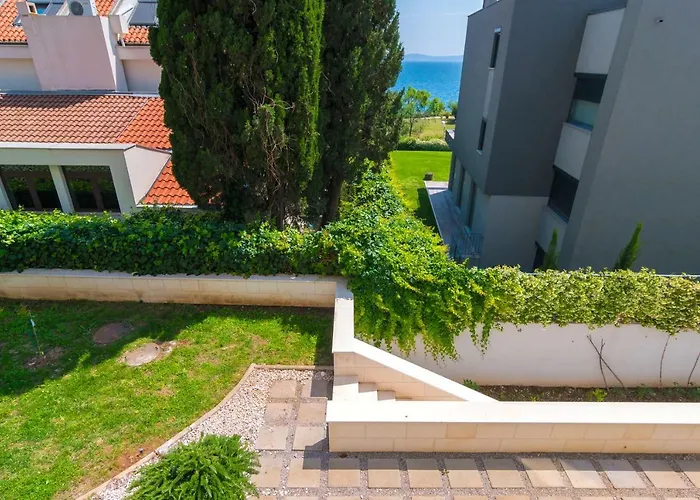 Stunning Kasuni In *