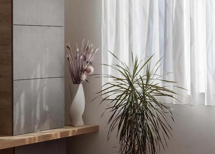 Stunning Kasuni In Apartment