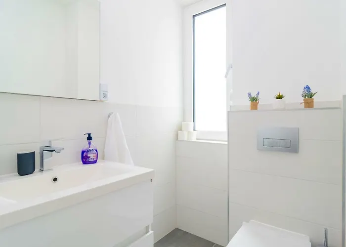 Stunning Kasuni In Apartment